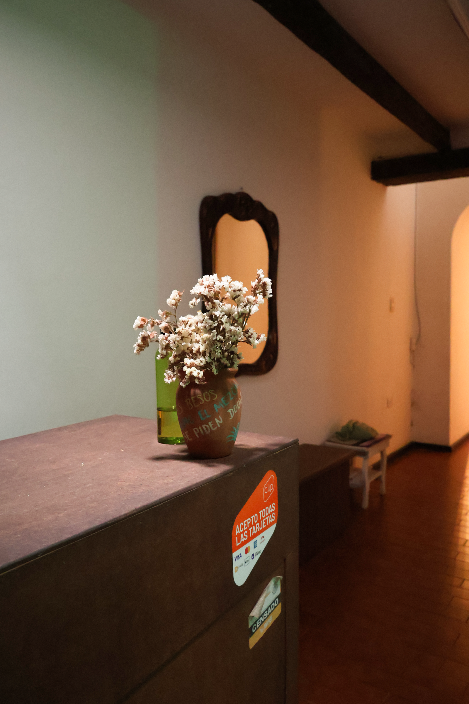 Recepción Xólotl Spa